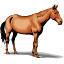 horse.gif (3322 bytes)