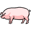 pig.gif (2522 bytes)