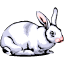 rabbit.gif (2422 bytes)
